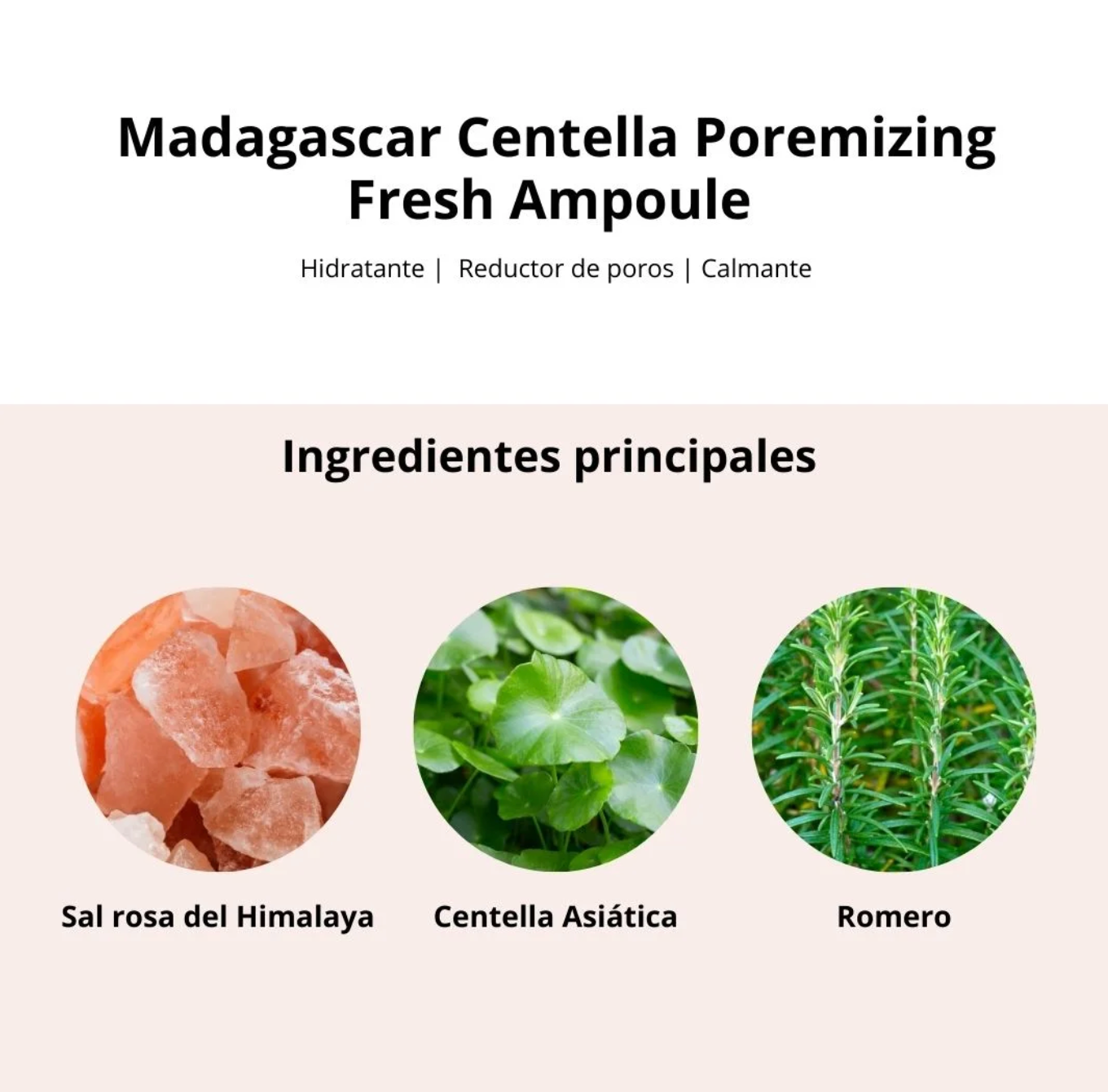 Ampolla Madagascar Centella Poremizing Fresh Ampoule (SKIN1004) - 100 Ml