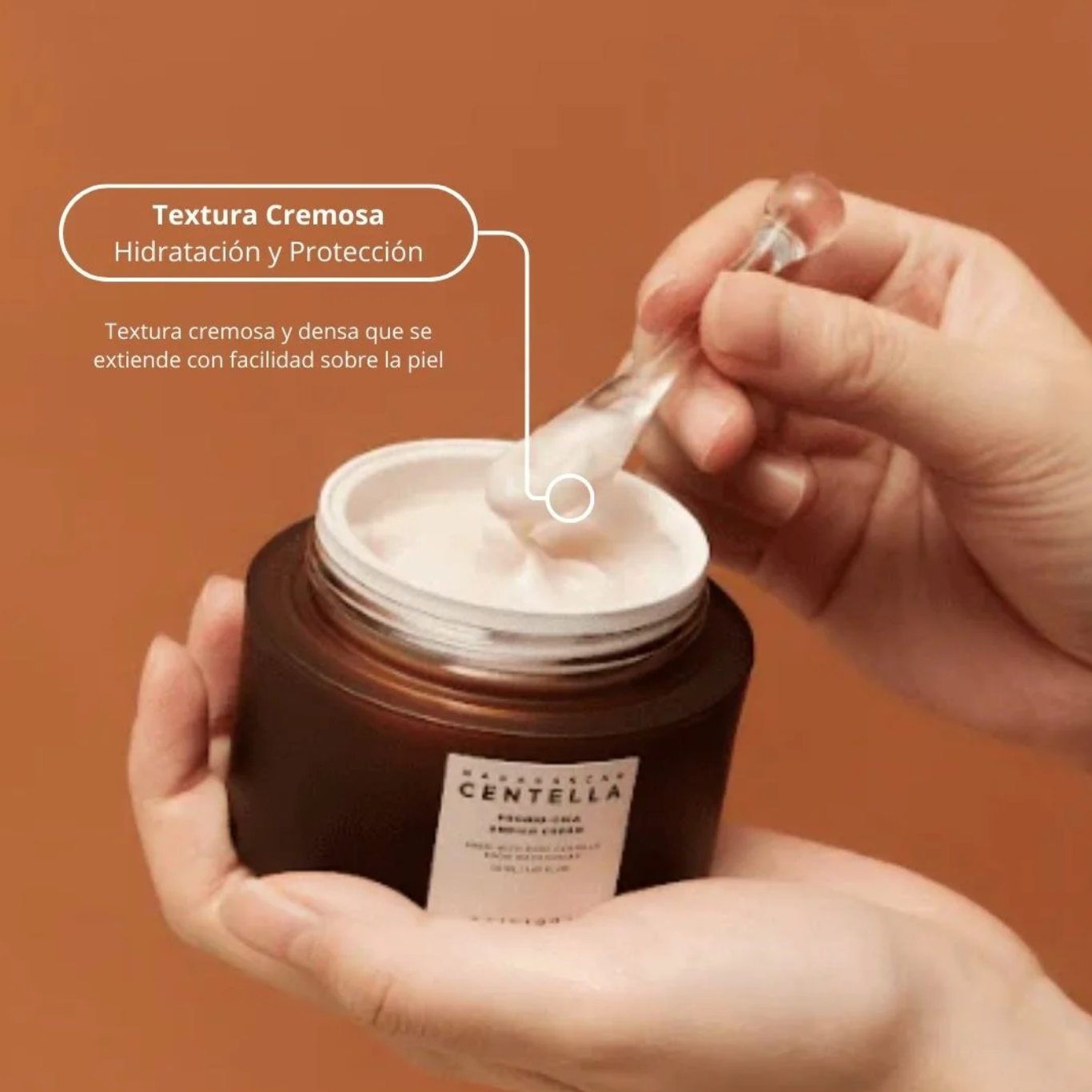 Madagascar Centella Probio-Cica Enrich Cream (SKIN1004) - 50ml Crema antiedad