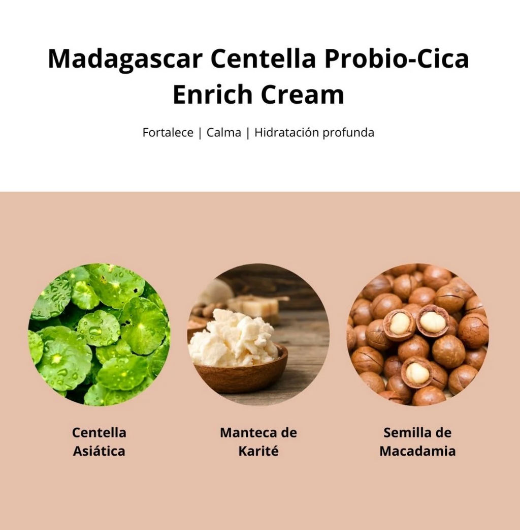 Madagascar Centella Probio-Cica Enrich Cream (SKIN1004) - 50ml Crema antiedad