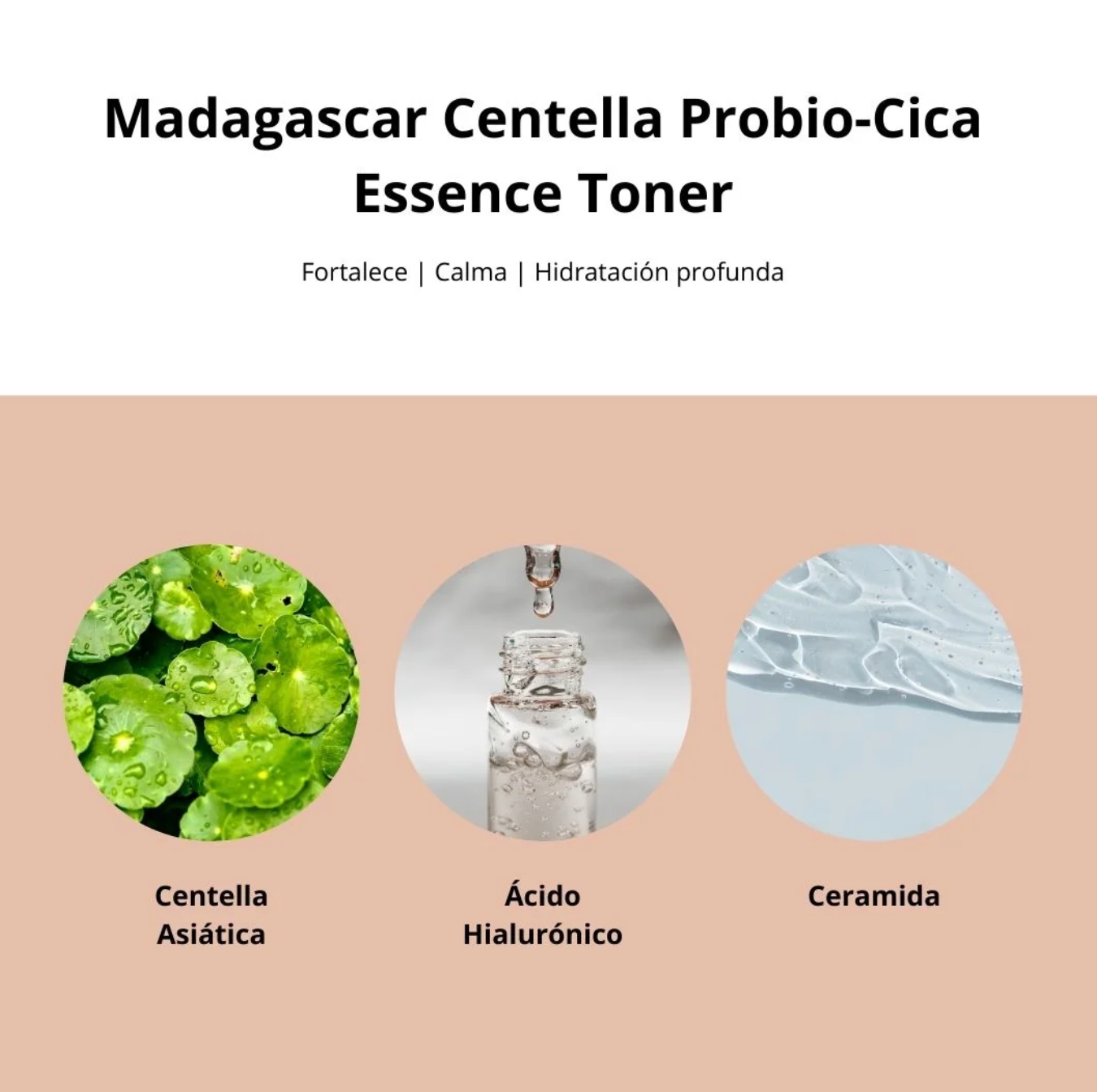 Madagascar Centella Probio-Cica Essence Toner (SKIN1004) - 210ml Tónico Centella Asiática + Probióticos