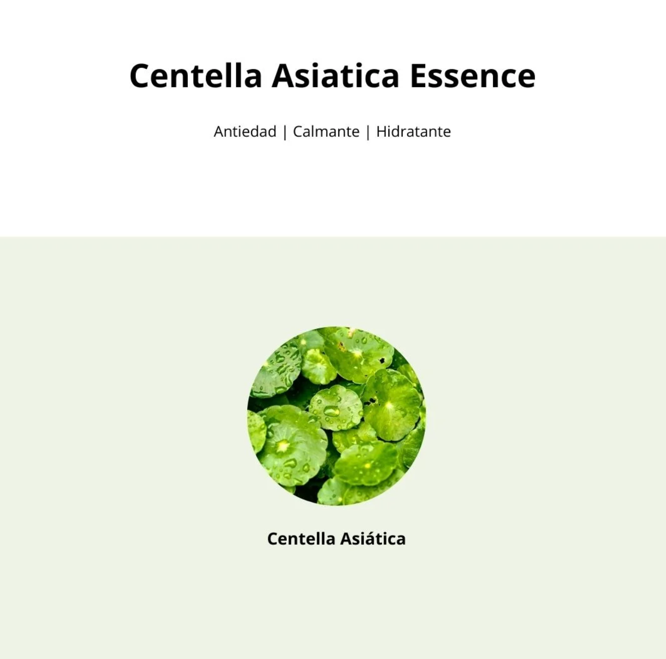 Esencia Mixsoon - Soondy Centella Asiática Essence - 100 ml