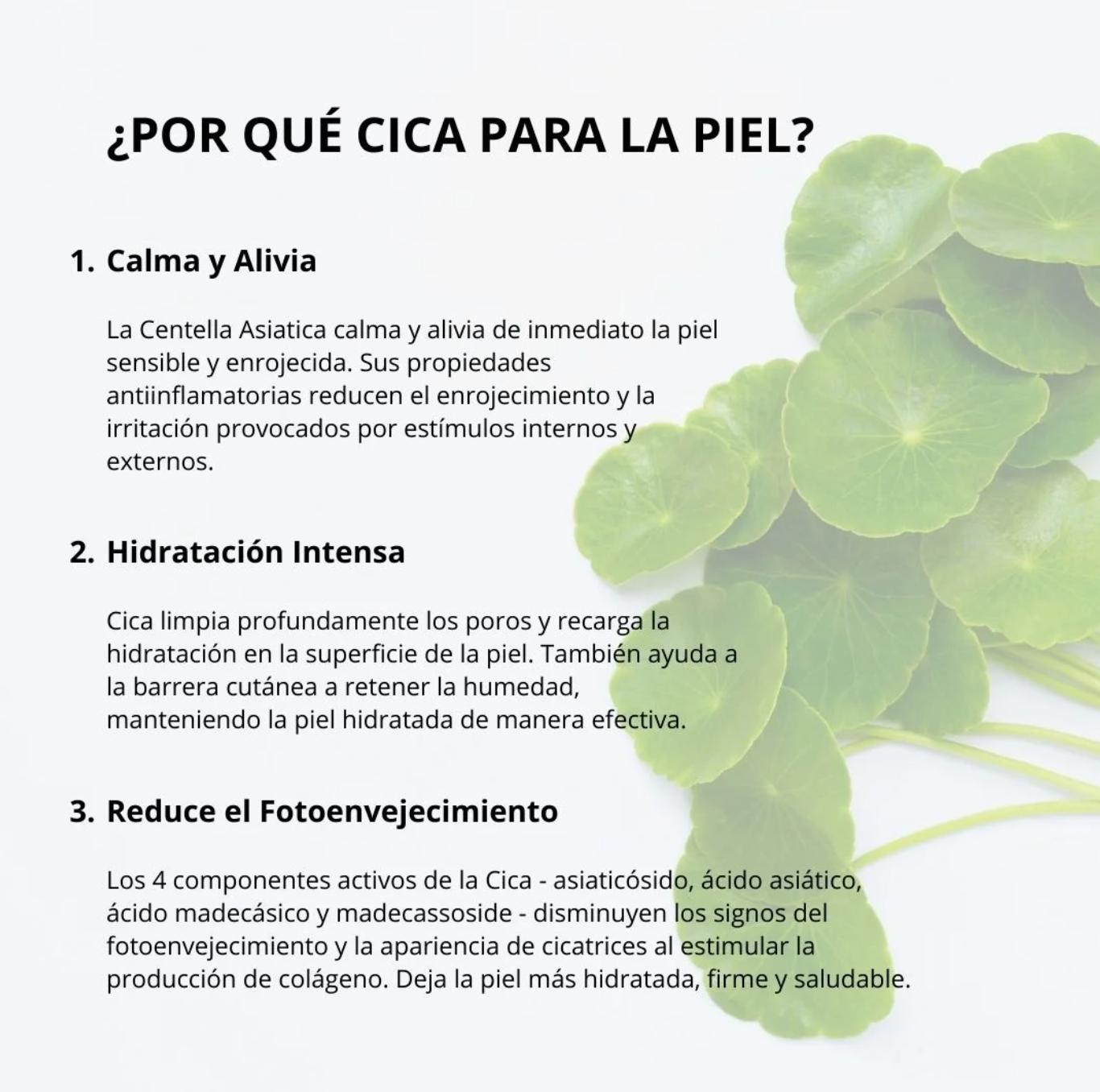 Esencia Mixsoon - Soondy Centella Asiática Essence - 100 ml