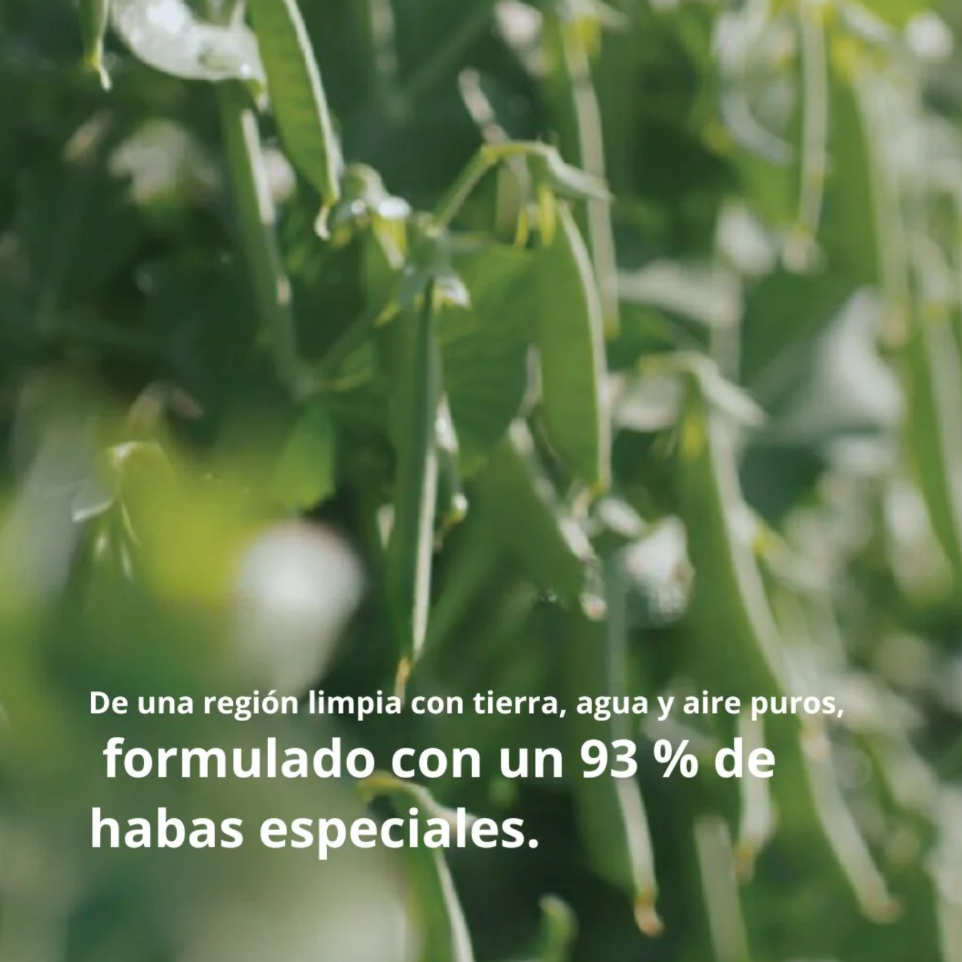 Tónico Mixsoon - Been Toner - 100 ml