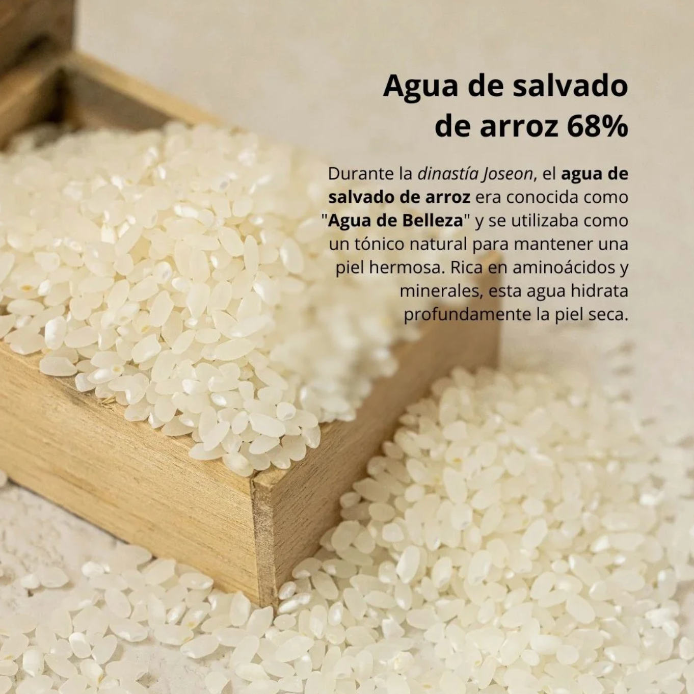 Crema Hidratante - Dynasty Cream (Beauty of Joseon) - 50 ml