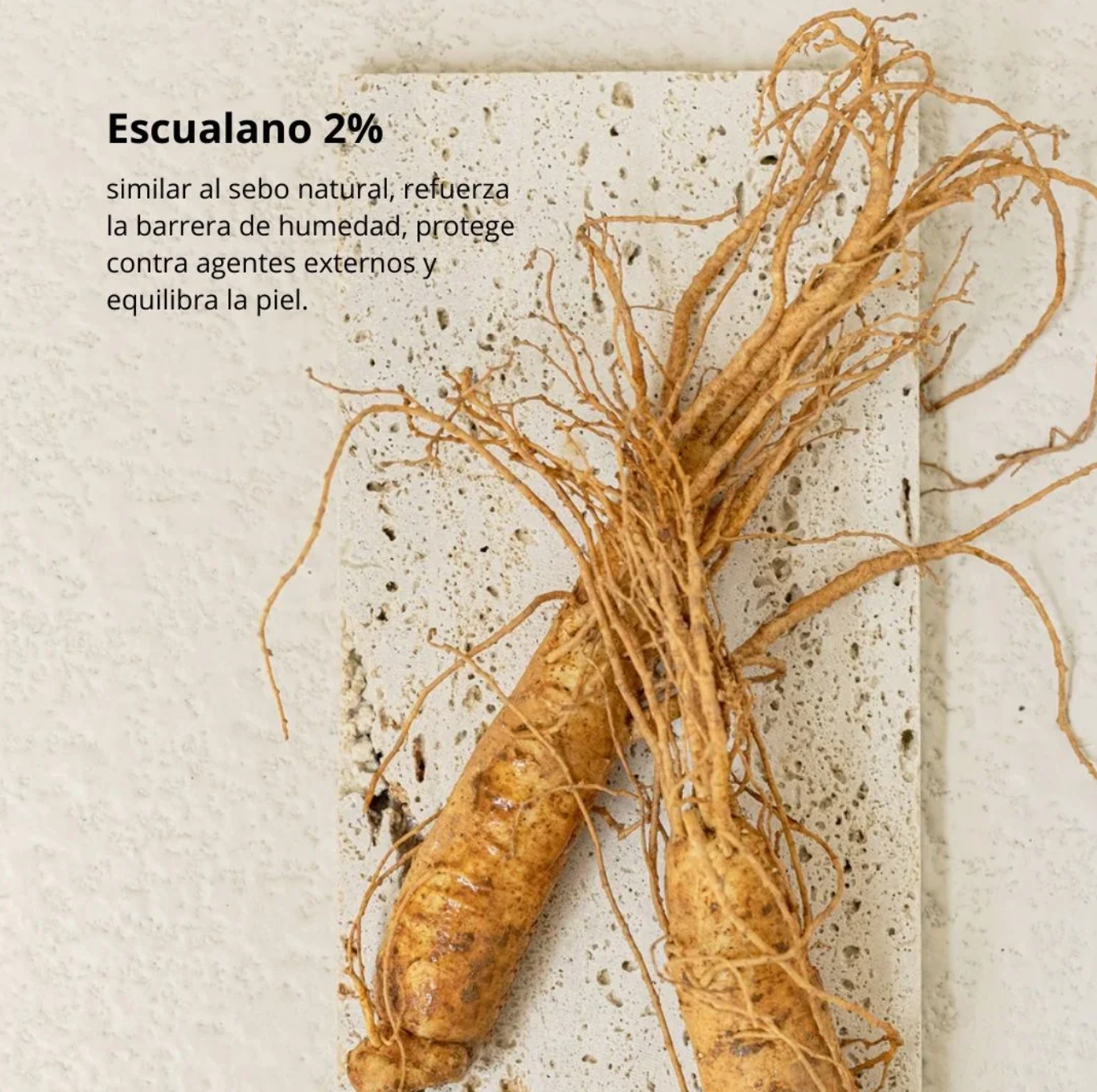 Crema Hidratante - Dynasty Cream (Beauty of Joseon) - 50 ml