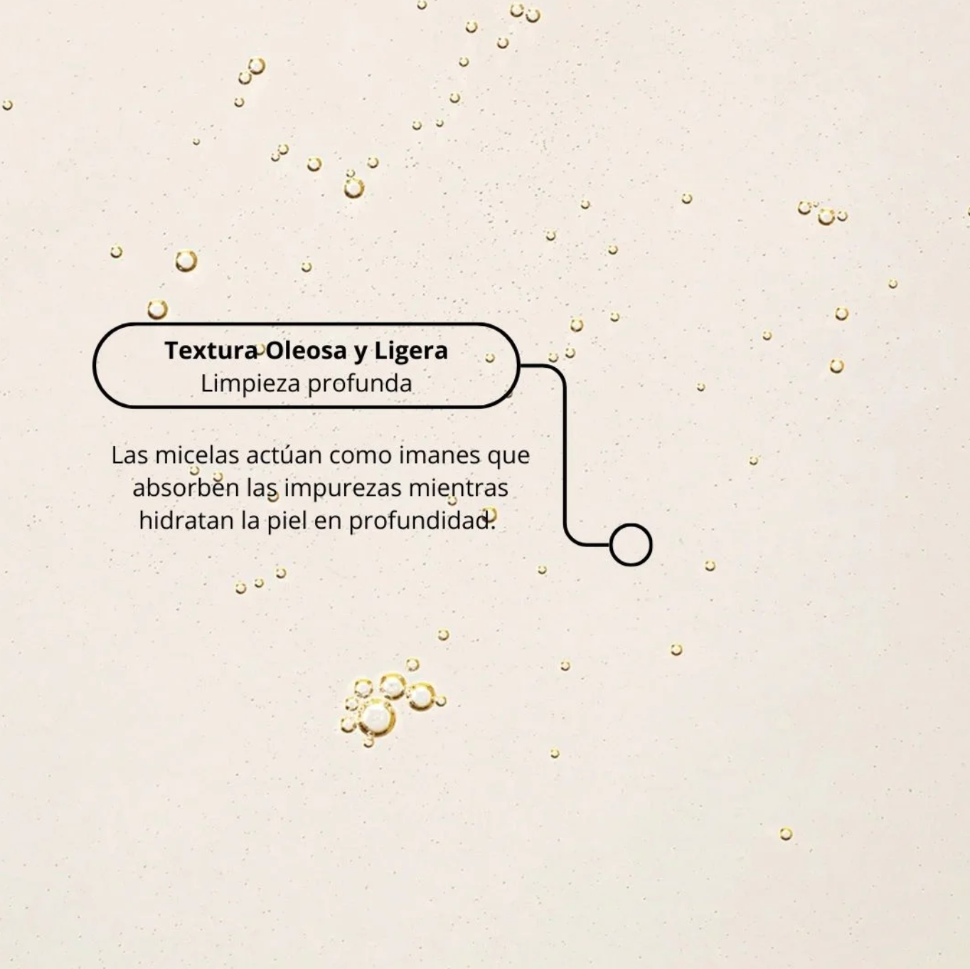 Limpiador Oleoso - Ginseng Cleansing Oil (Beauty of Joseon) - 210 ml