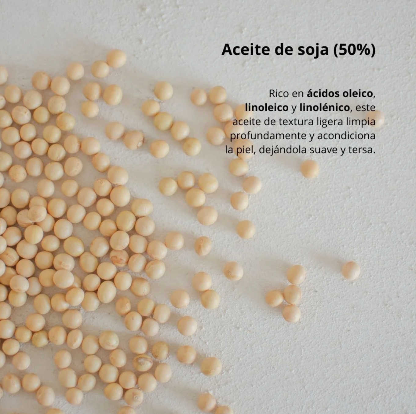 Limpiador Oleoso - Ginseng Cleansing Oil (Beauty of Joseon) - 210 ml