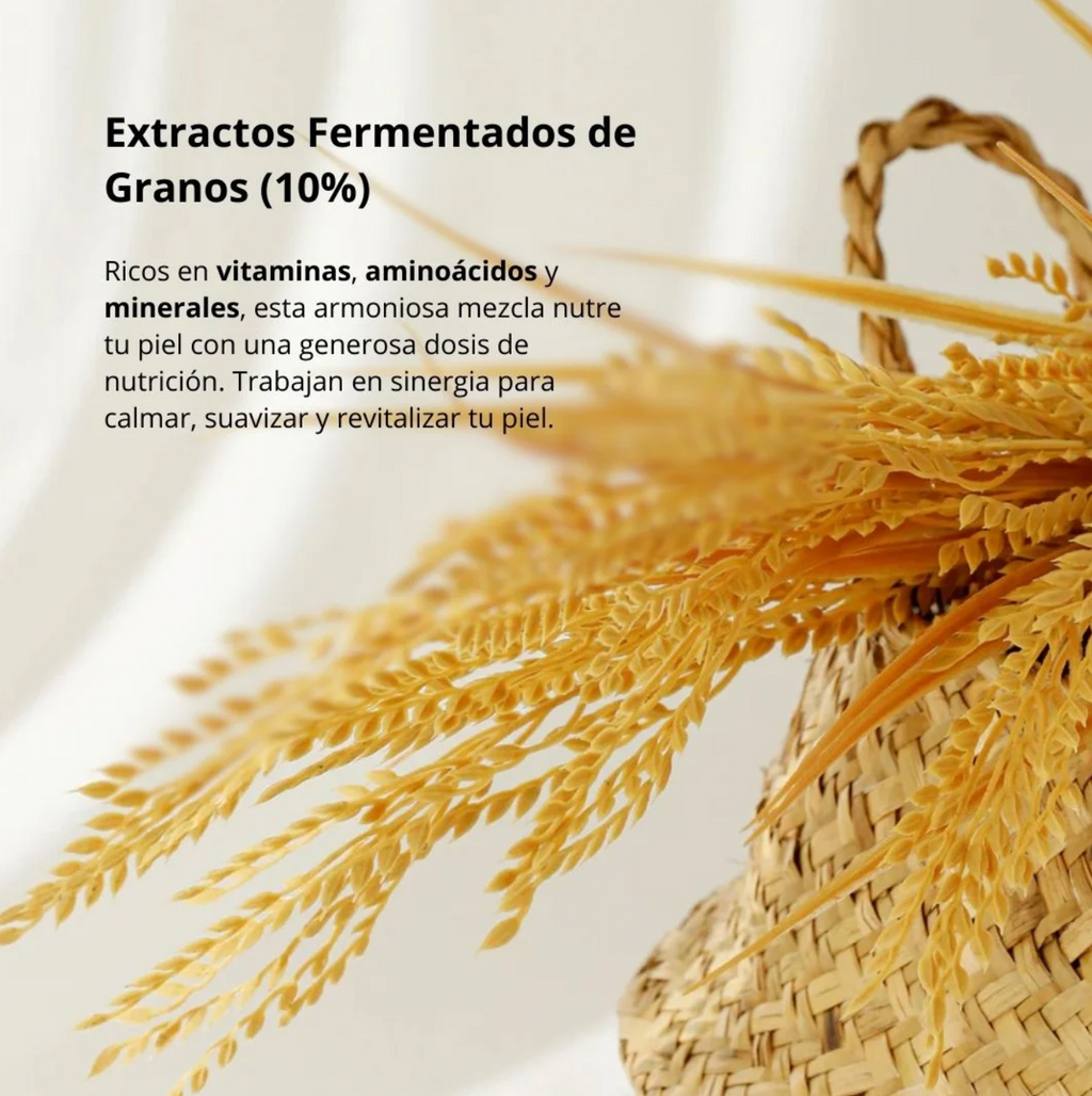 Potector solar - Relief Sun: Rice + Probiotics SPF50+ PA++++ (Beauty of Joseon) - 50 ml