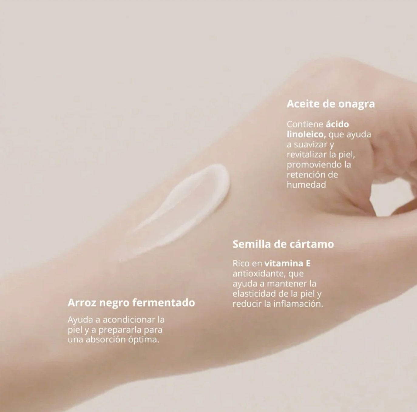 Crema hidratante (Haruharu Wonder) Black Rice 10 Hyaluronic Cream - 50ml